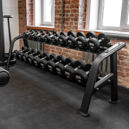 BRONZE GYM BR-1025 Стойка для гантелей (10 пар)
