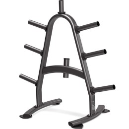 Стойка для дисков профессиональная BRONZE GYM BR-1022